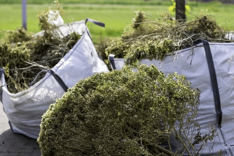 Garden clearance and grounds maintenance in West Yorkshire — Benley Cleaning